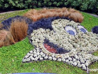 disneyland hotel mickey topiary