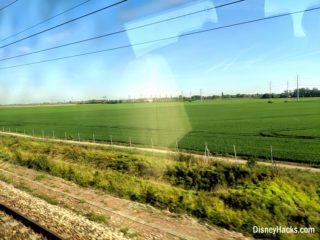 disneyland paris high speed train (6)