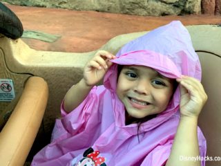 ellie splash mountain tokyo disneyland