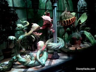 mystic manor hong kong disneyland (4)