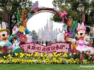 shanghai disneyland castle (5)